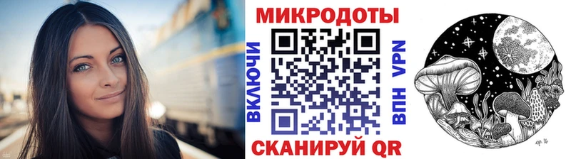 Купить  Асино  Галлюциногенные грибы Psilocybe 