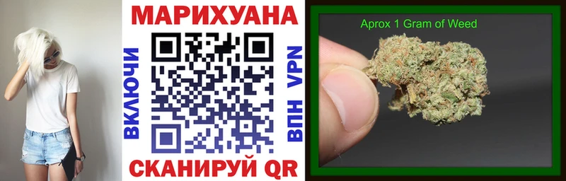 Канабис семена  Купить закладки  Асино 